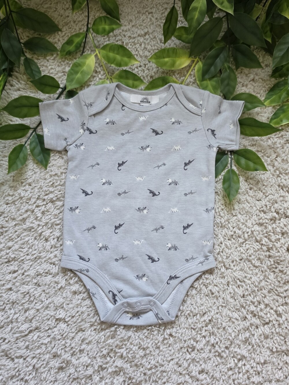 Baby Boy Grey Dinosaur Onesie (6-9 Months)